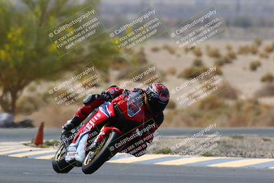 media/Apr-10-2022-SoCal Trackdays (Sun) [[f104b12566]]/Turn 5 Tree of Life (1040am)/